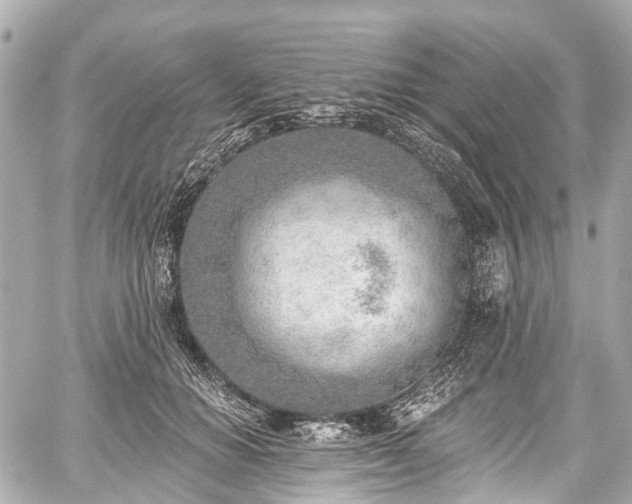 X0000059060654200510101050