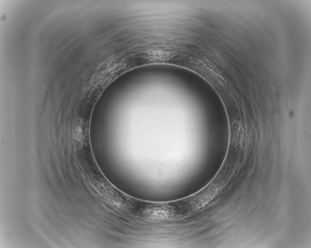 X0000059060655200510101050