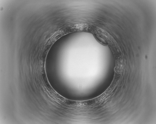 X0000059060656200510101050