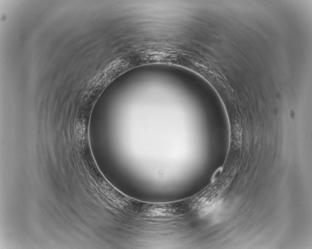 X0000059060657200510101050