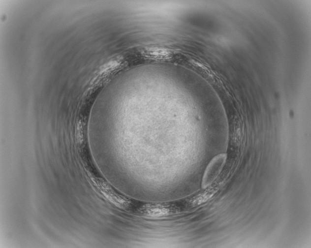 X0000059060658200510101050