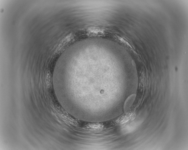 X0000059060659200510101050