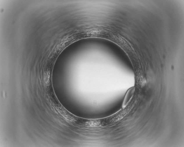 X0000059060660200510101050