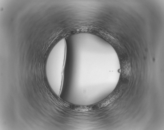 X0000059060661200510101050