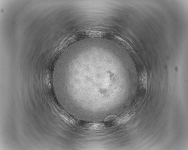 X0000059060663200510101050