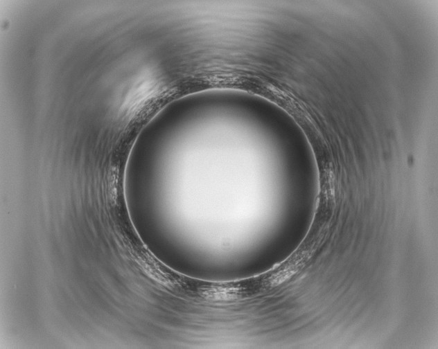 X0000059060664200510101050