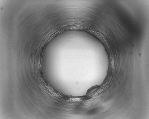 X0000059060665200510101050