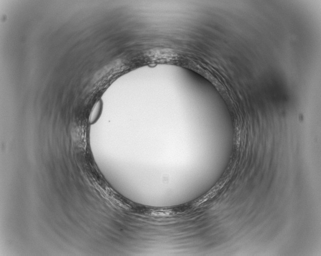 X0000059060666200510101050