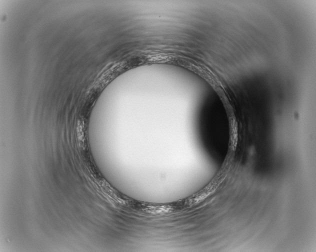 X0000059060667200510101050