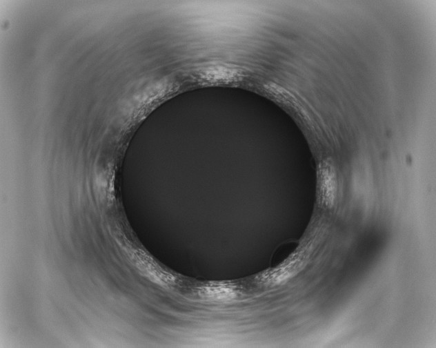 X0000059060668200510101050