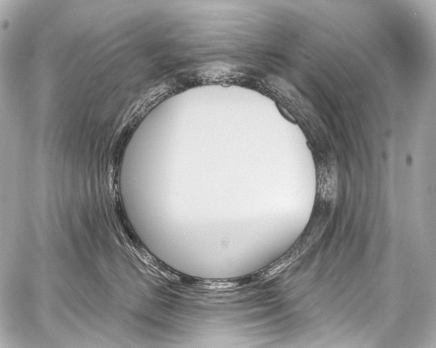 X0000059060670200510101050