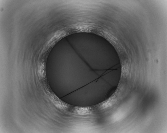 X0000059060671200510101050