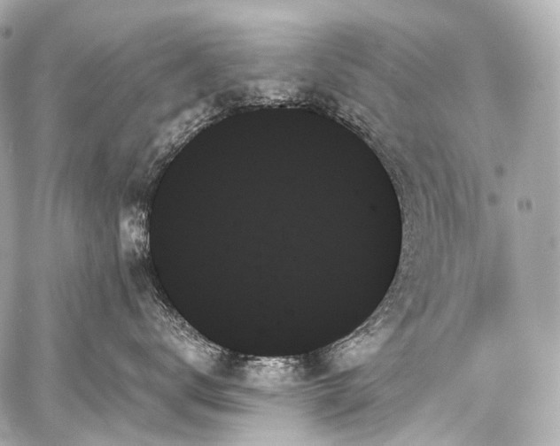 X0000059060672200510101050