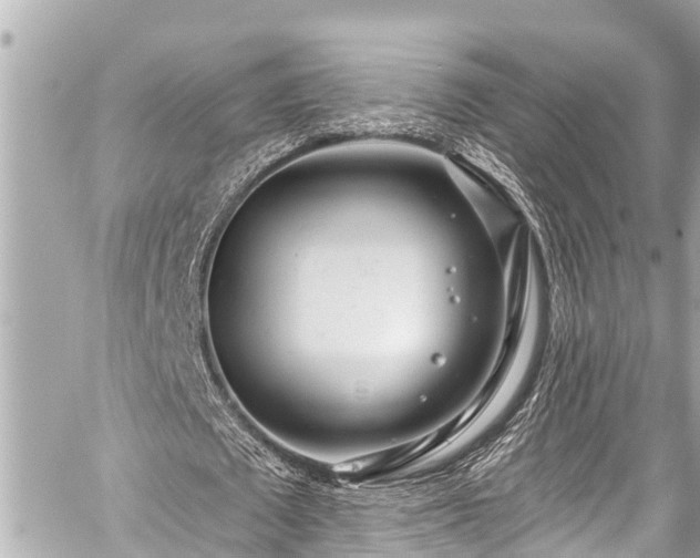 X0000059060673200510101049