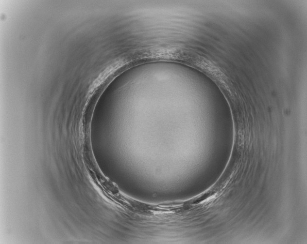 X0000059060674200510101049