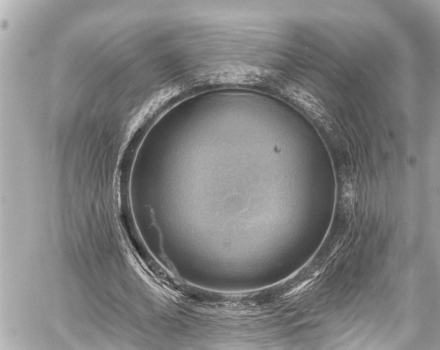 X0000059060678200510101049