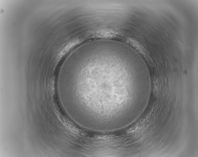 X0000059060679200510101049