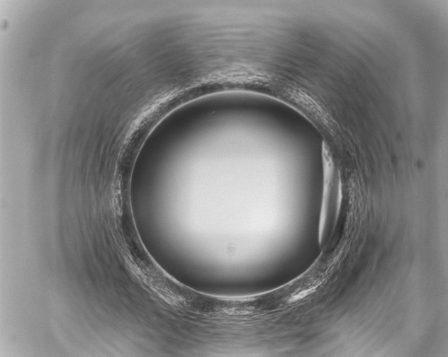 X0000059060680200510101049