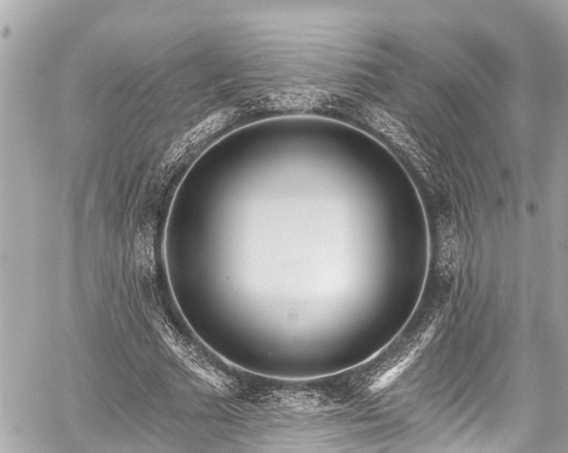 X0000059060681200510101049