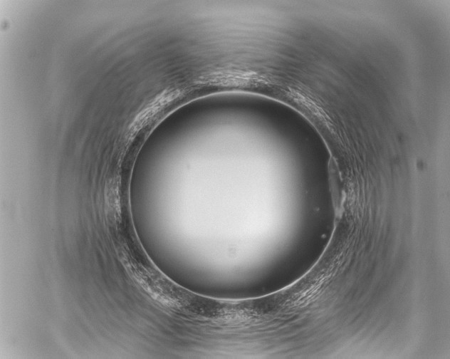 X0000059060682200510101049