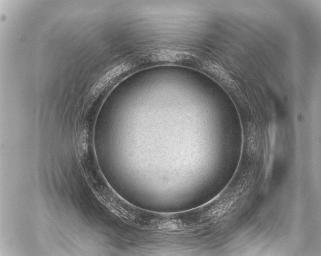 X0000059060683200510101049