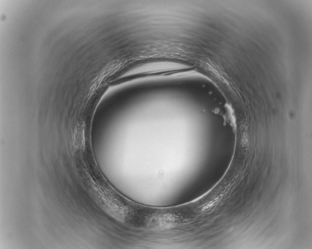 X0000059060685200510101049