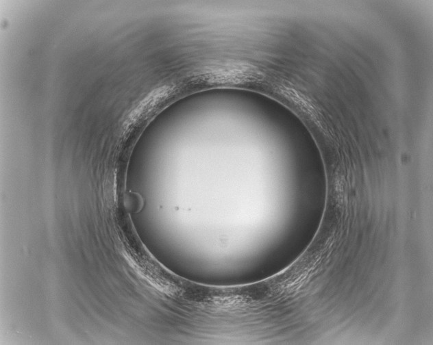 X0000059060686200510101049