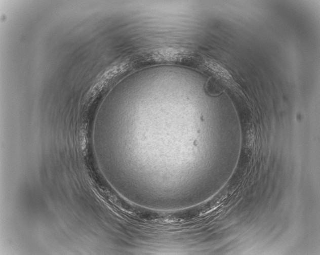 X0000059060687200510101049