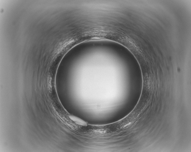 X0000059060692200510101049