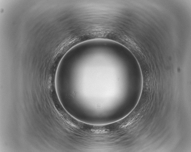 X0000059060693200510101049