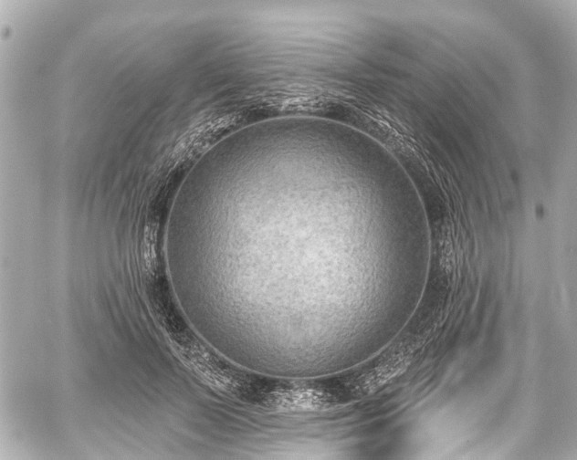 X0000059060695200510101049