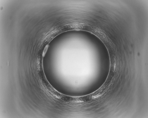 X0000059060696200510101049