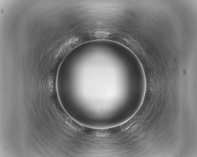 X0000059060697200510101049