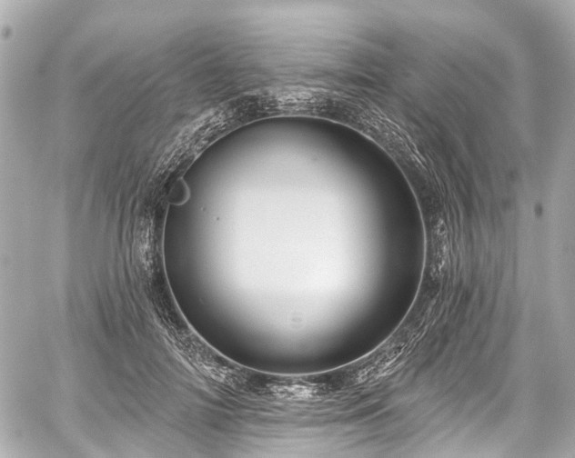 X0000059060698200510101049