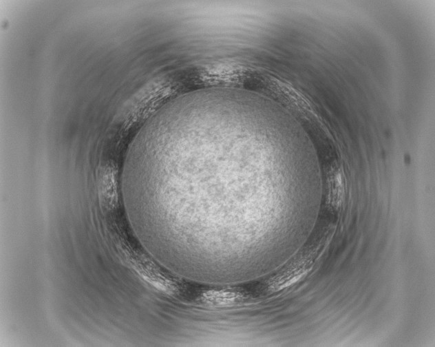 X0000059060699200510101049