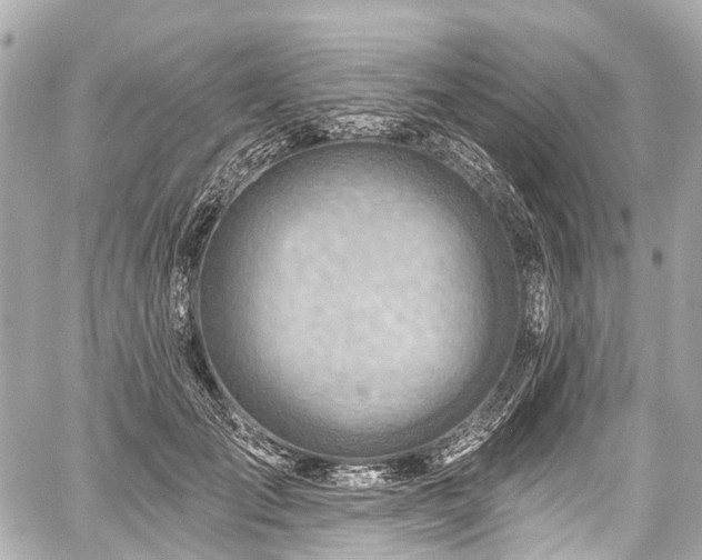 X0000059060701200510101049