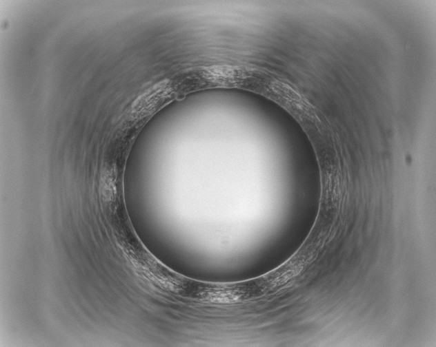 X0000059060702200510101049