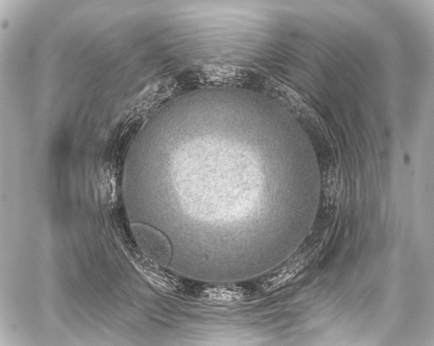 X0000059060703200510101049