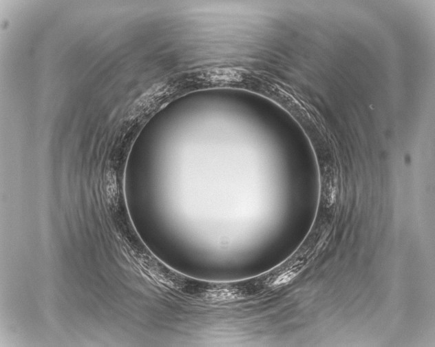 X0000059060704200510101049