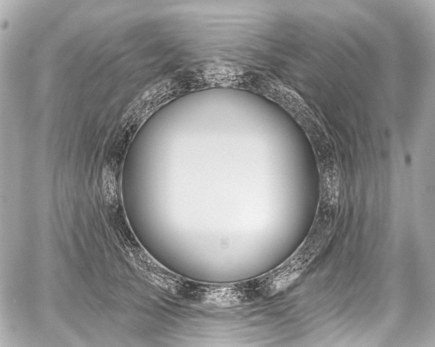 X0000059060705200510101049