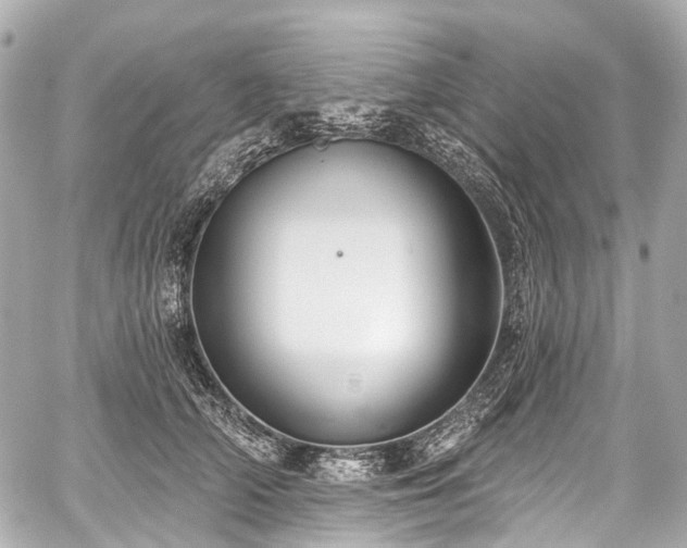 X0000059060706200510101049