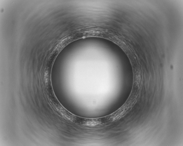 X0000059060708200510101049