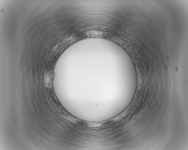 X0000059060709200510101049