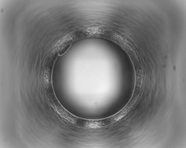 X0000059060710200510101049