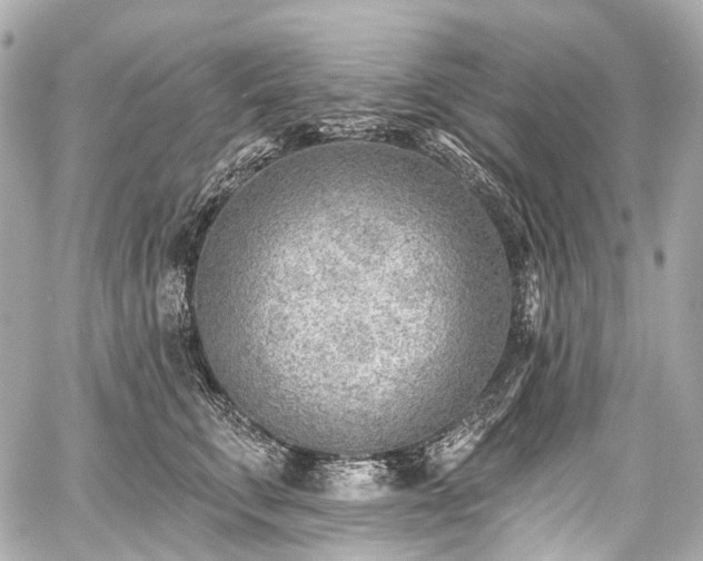 X0000059060711200510101049