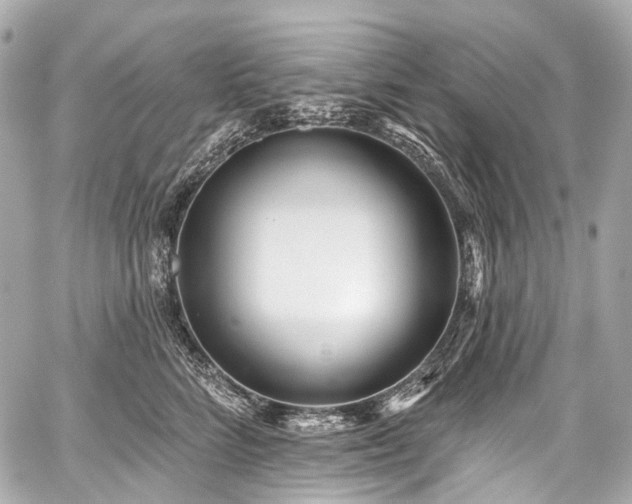 X0000059060712200510101049