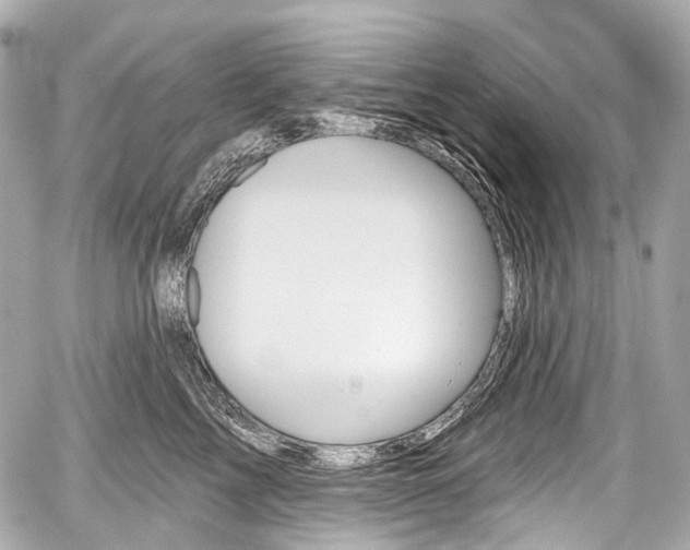 X0000059060713200510101049