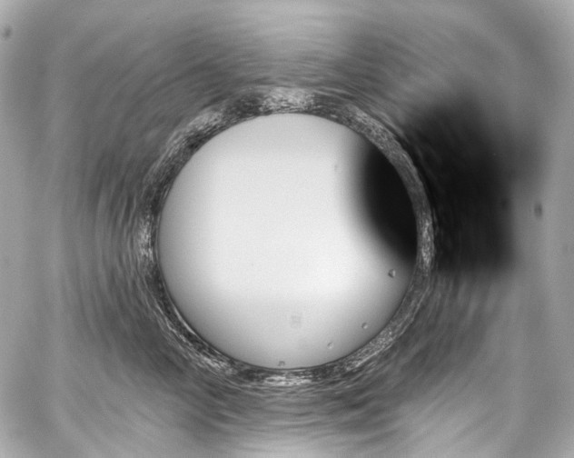 X0000059060714200510101049