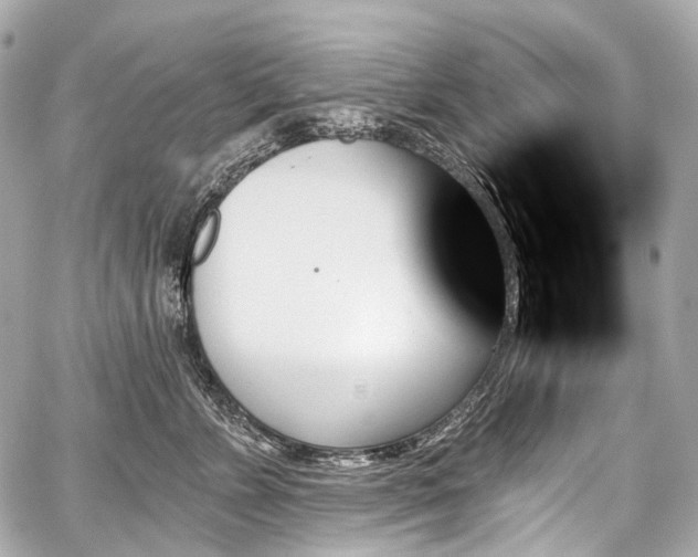 X0000059060715200510101048