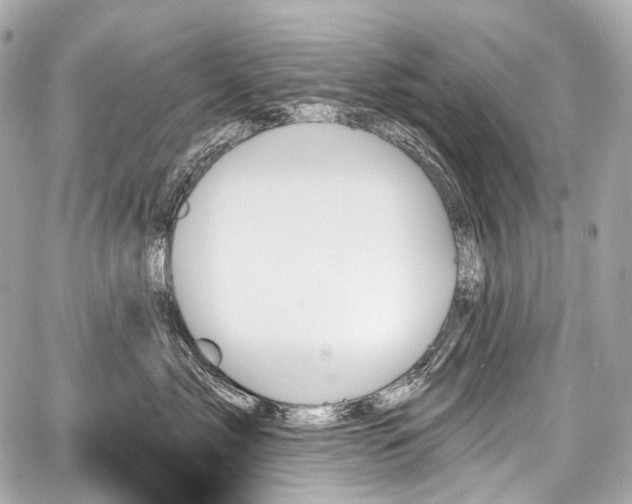 X0000059060717200510101048